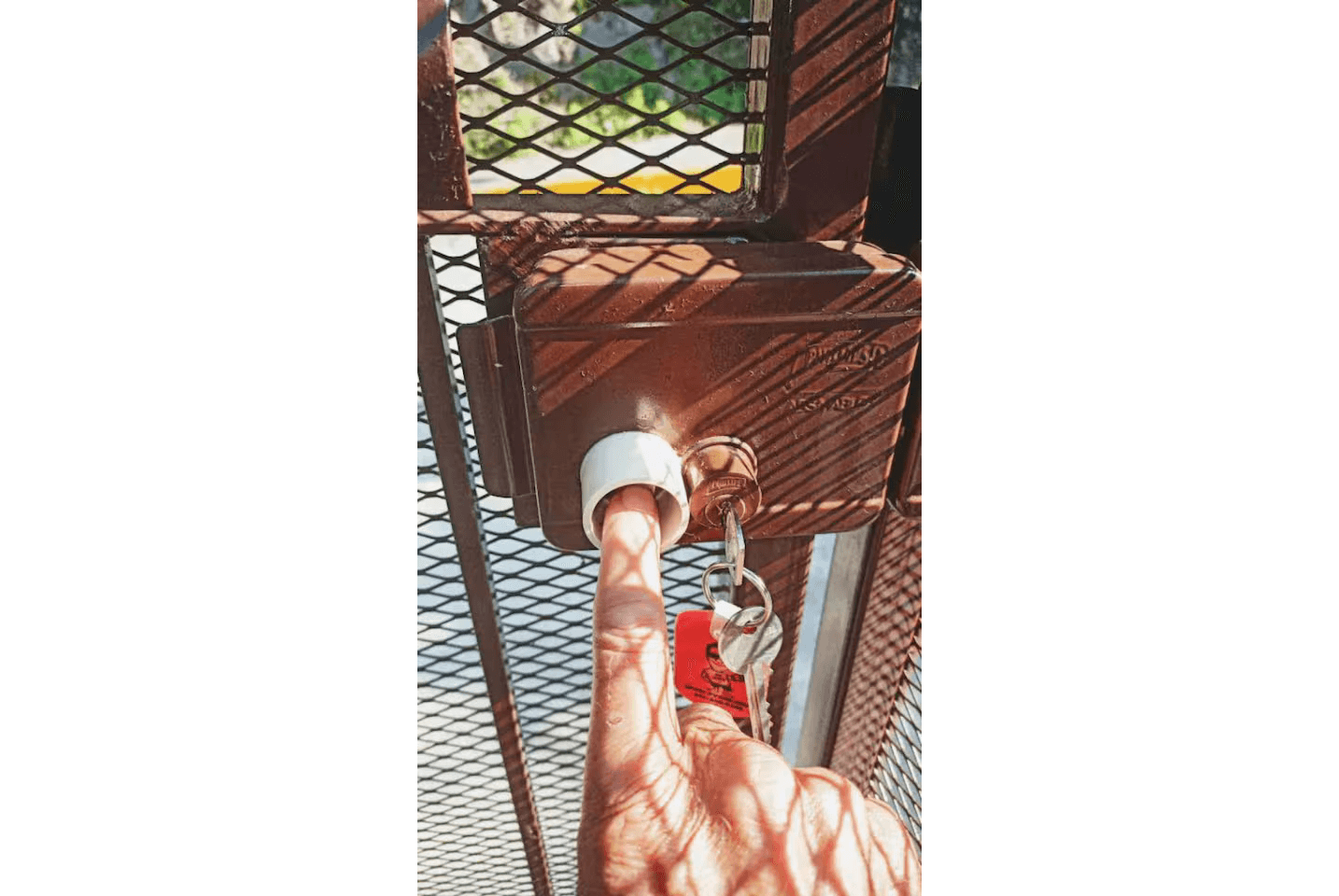 Hummingbird Check-in step 4